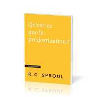 Qu'est-ce que la prédestination ? - [Questions cruciales]