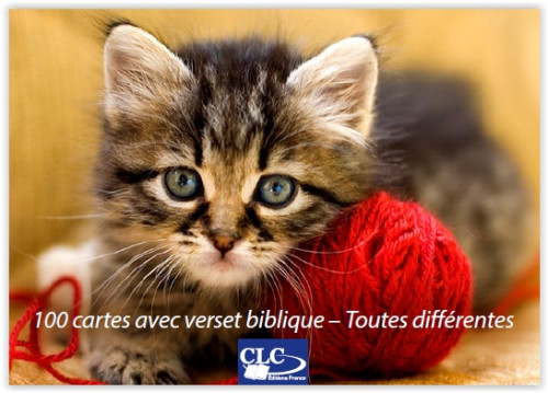 100 cartes avec verset biblique - Animaux