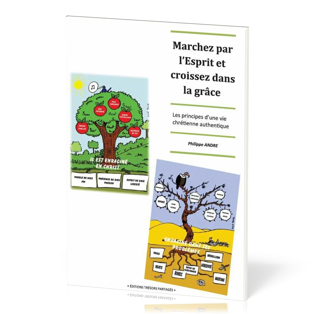 Marchez par l'esprit et croissez dans la grâce - Les principes d'une vie chrétienne authentique