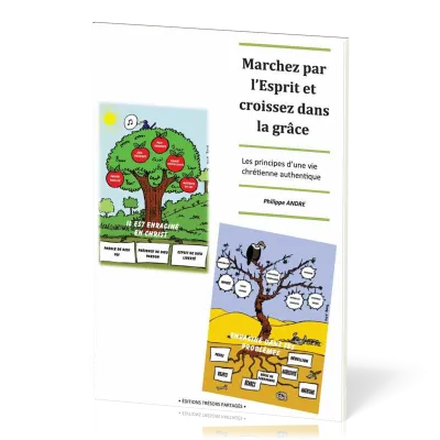 Marchez par l'esprit et croissez dans la grâce - Les principes d'une vie chrétienne authentique