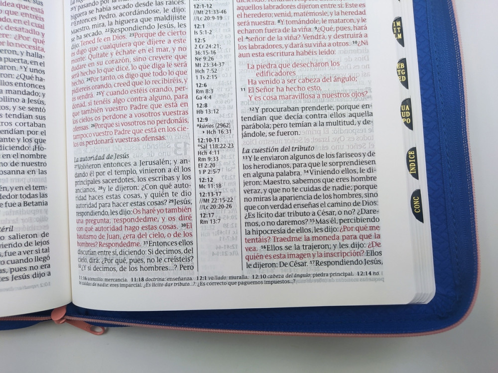 Espagnol, Bible Reina Valera 1960, gros caractères, ultrafine, similicuir, fermeture éclair