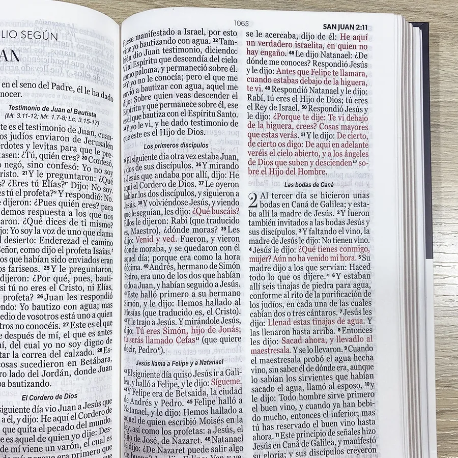 Espagnol, Bible Reina Valeira 1960 gros caractères, souple, couverture colorée