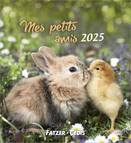 Mes petits amis - calendrier à poser