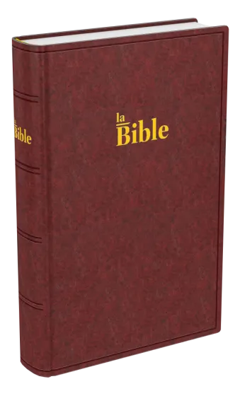 Bible Darby, format compact, brune - couverture rigide