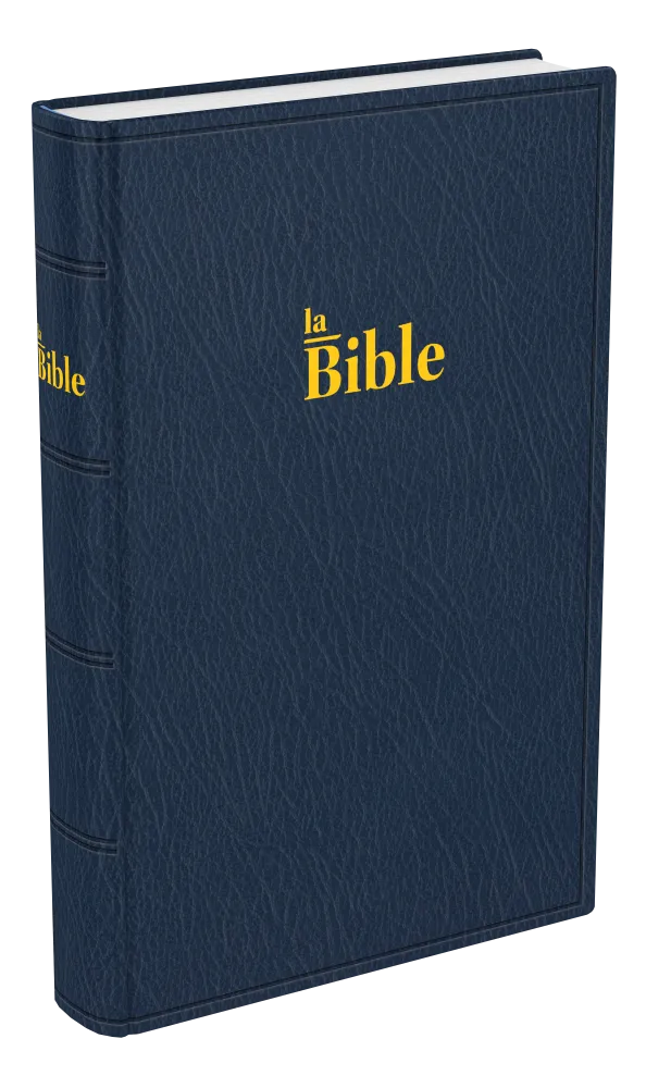 Bible Darby, format standard, bleu - couverture souple