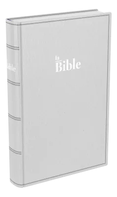 Bible Darby, format standard, gris - couverture souple