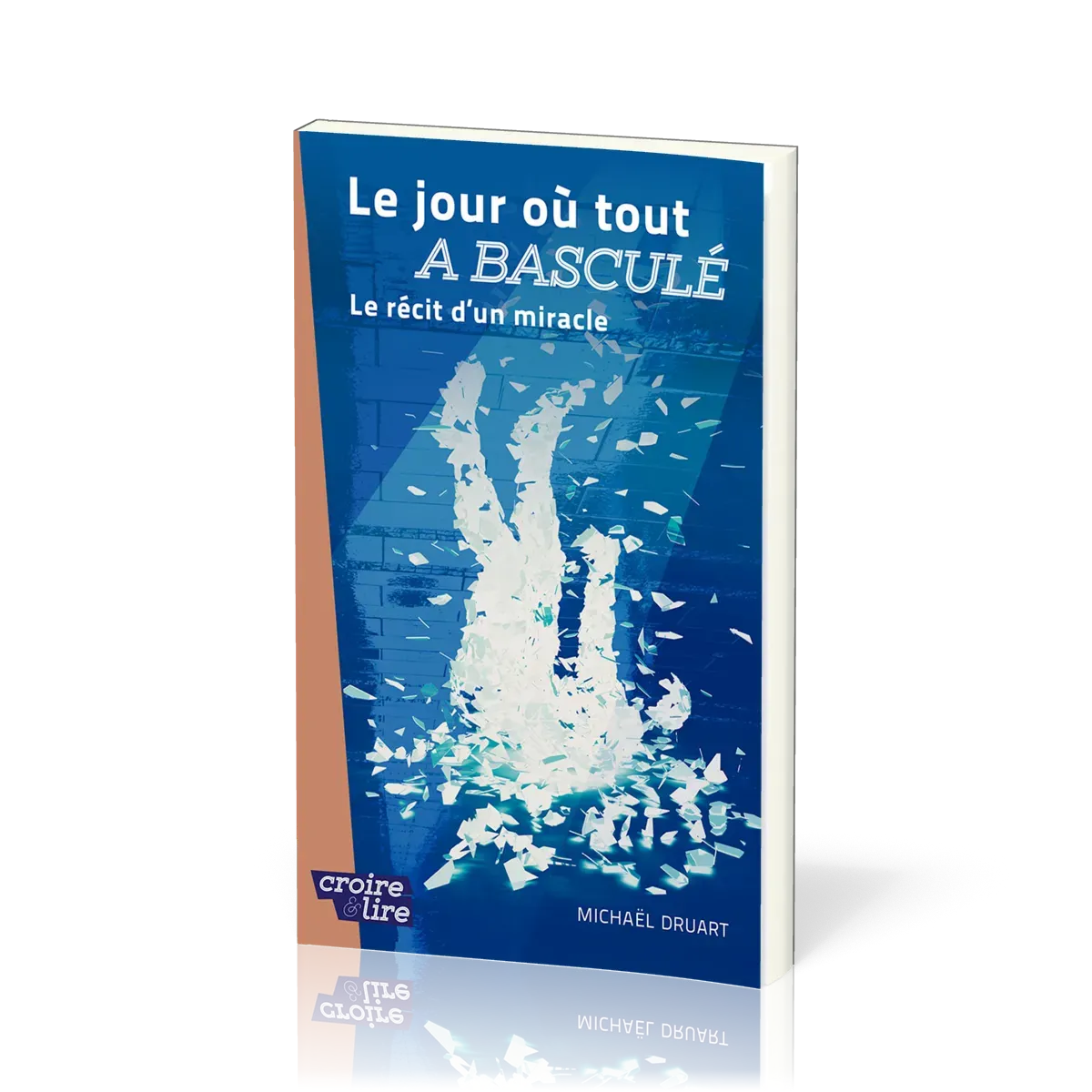 Le jour où tout a basculé - Le récit d'un miracle