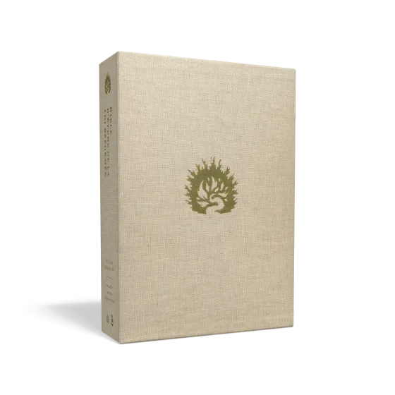 Bible d’étude de la foi réformée - Blanc, Similicuir, tranches or, un signet