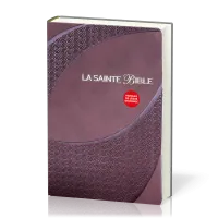 Bible Segond 1910, gros caractères, similicuir brun, onglets, tranche or - 2 rubans marque-pages,...