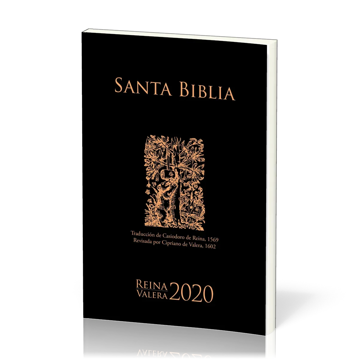 Espagnol, Bible Reina Valera 2020, Bible d'évangélisation, brochée, noire