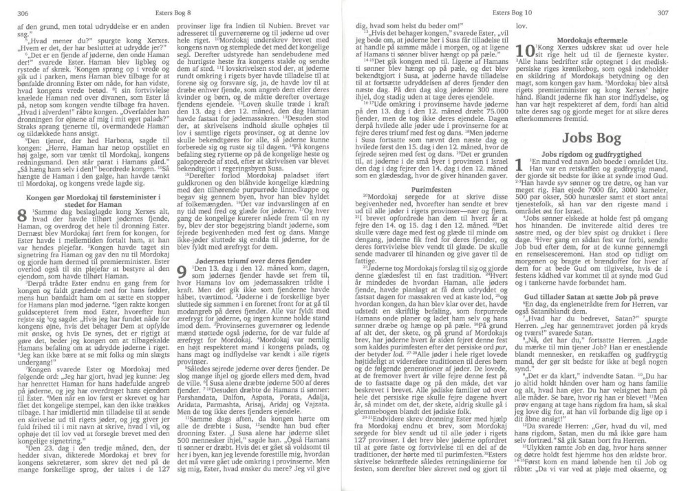 Dänisch, Bibel, Umgangssprache - Hardcover, Holzmuster