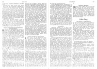 Dänisch, Bibel, Umgangssprache - Hardcover, Holzmuster