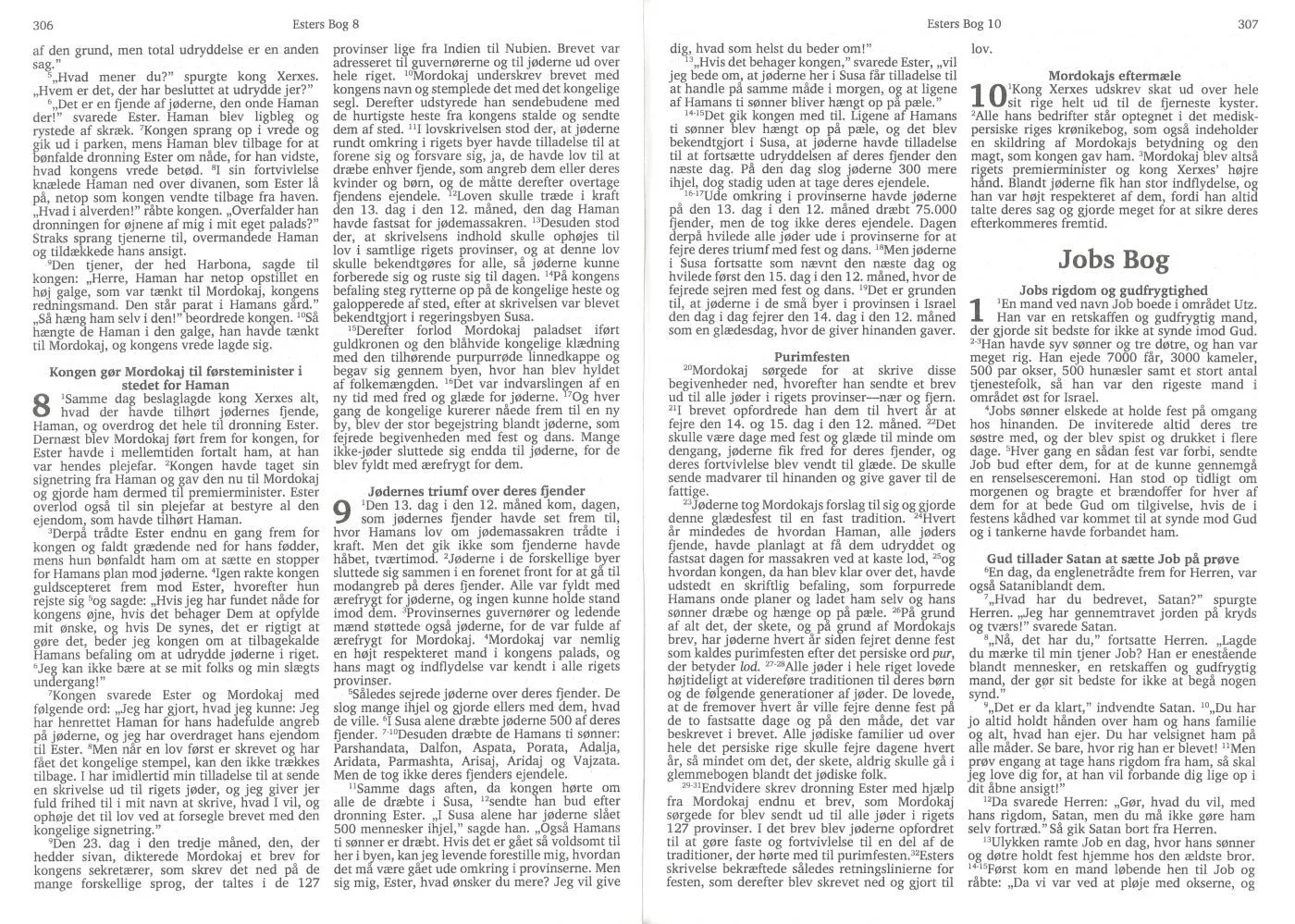 Dänisch, Bibel, Umgangssprache - Hardcover, Holzmuster