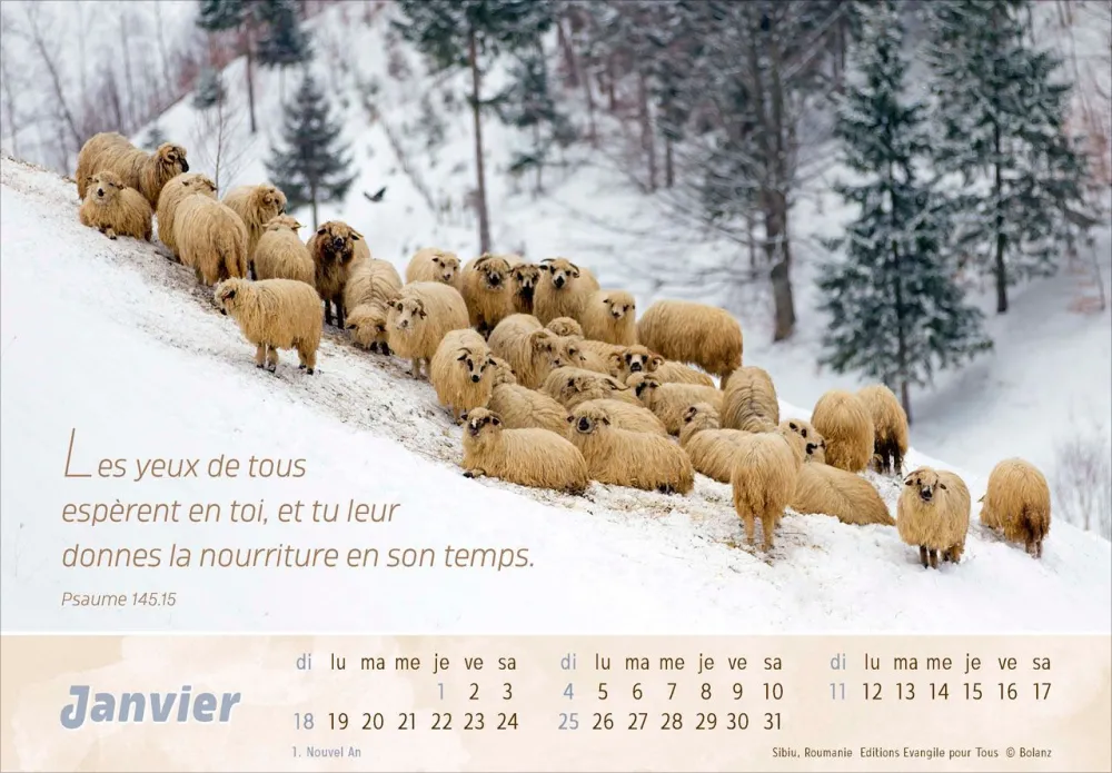 Bon berger (Le) - Calendrier cartes postales, horizontal
