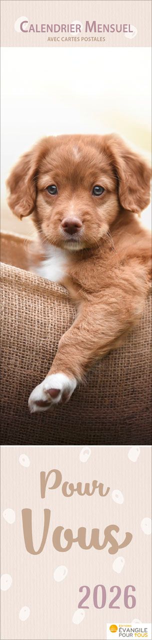 Pour vous (Animaux) - Calendrier cartes postales, vertical