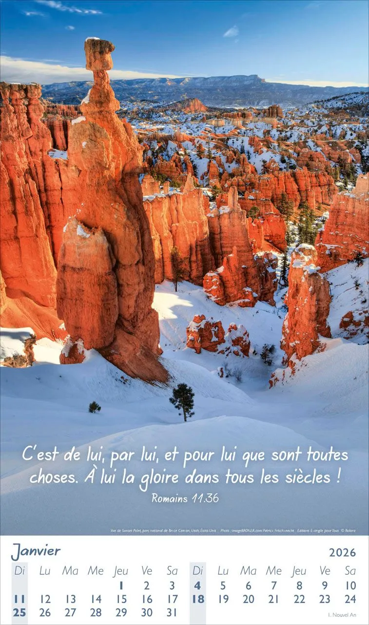 Lumières - Calendrier posters, mural