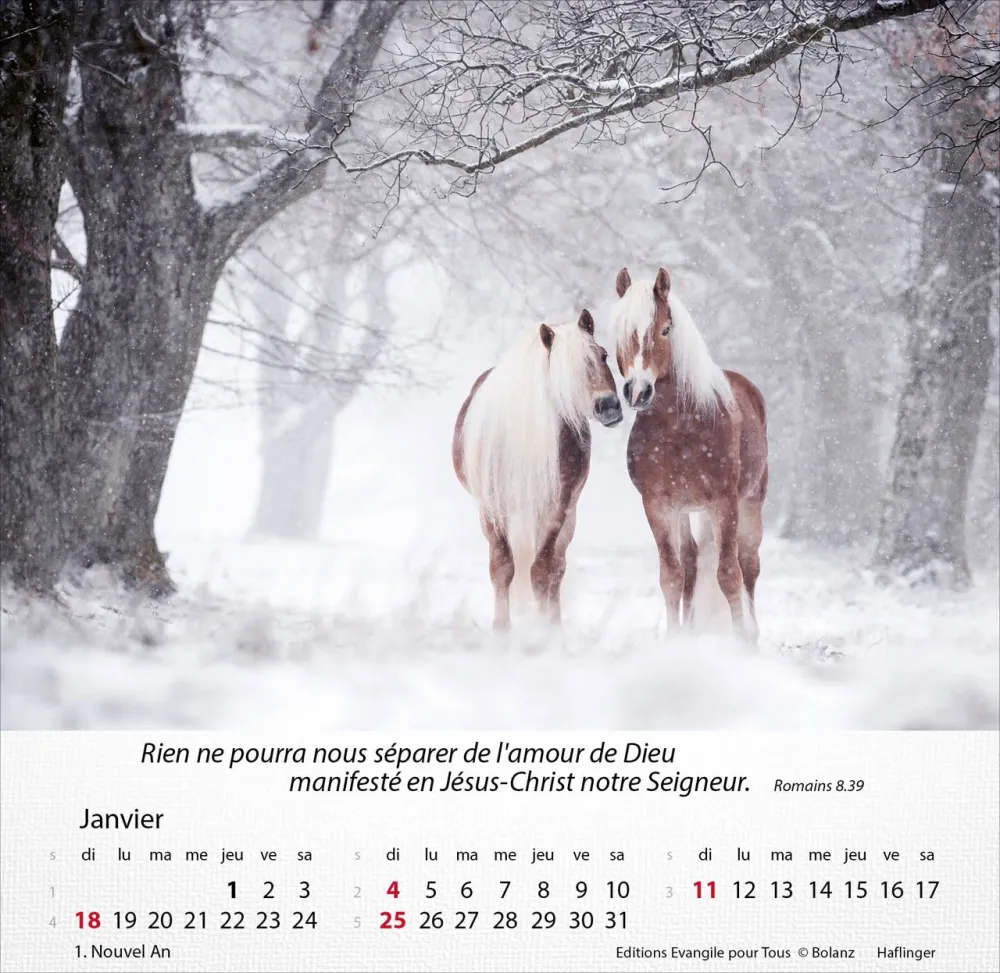 Chevaux, Merveilles de la création - Calendrier de table