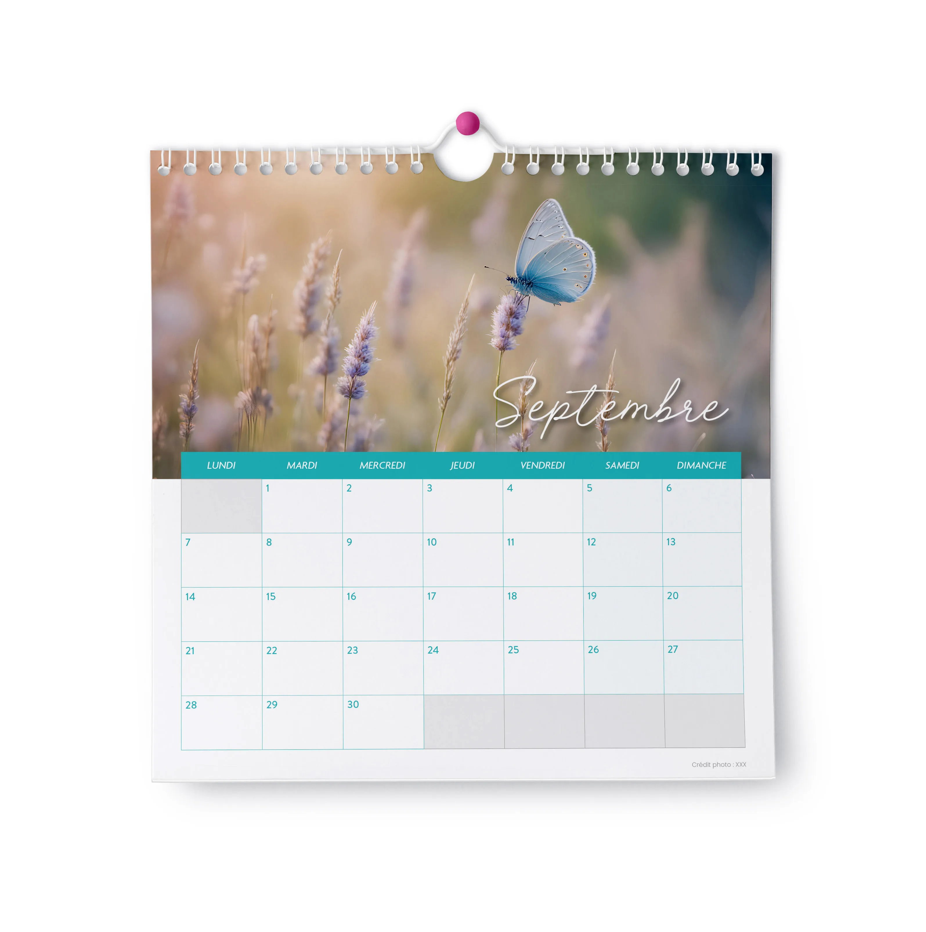 Merveilles (sans textes) - Calendrier mural