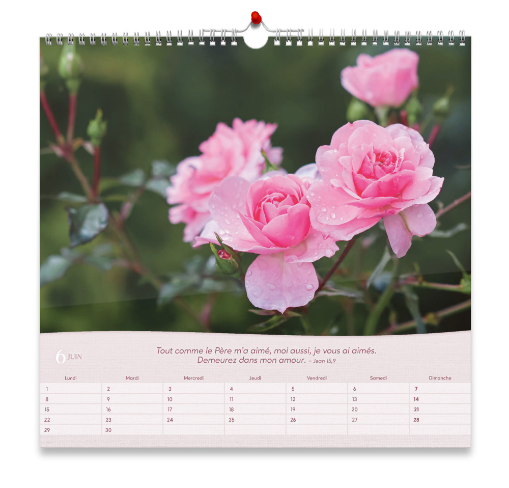Roses, Grand format - Grand calendrier avec 12 belles photos de roses