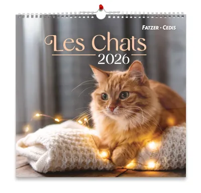 Nos amis les Chats, grand format - Grand calendrier avec 12 belles photos de chats