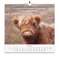 Nos amis les animaux - Calendrier