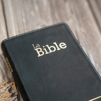 Bible Segond 21 compacte (Premium Style) - couverture souple, cuir anthracite, avec tranches dorées