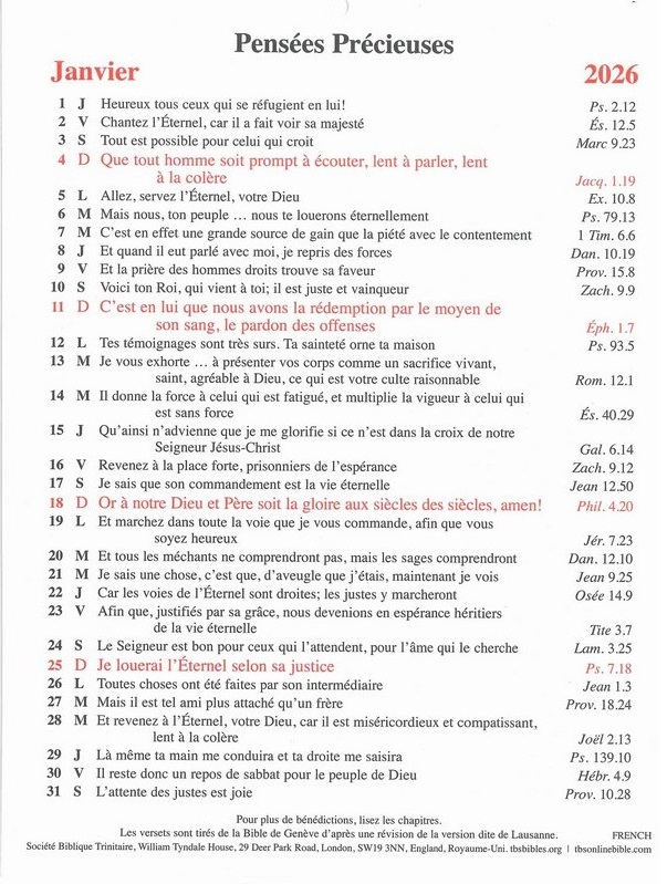 Pensées précieuses - calendrier 1 verset par jour, une page par mois