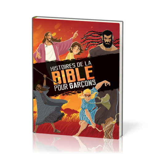 Histoires de la Bible pour garçons