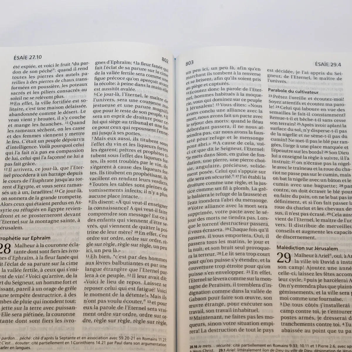 Bible Segond 21 compacte - couverture rigide motif prune