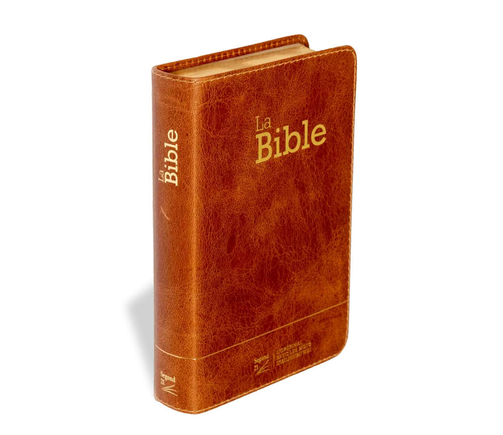 Bible Segond 21 compacte (Premium Style) - couverture souple, cuir brun, avec tranches dorées