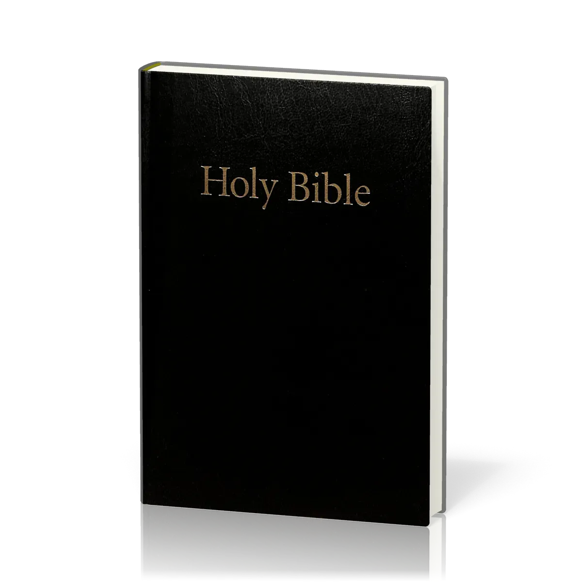 Anglais, Bible King James Version, moyen modèle, rigide, noire