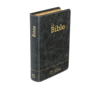Bible Segond 21 compacte (Premium Style) - couverture souple, cuir anthracite, avec tranches dorées