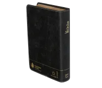 Bible Segond 21 compacte (Premium Style) - couverture souple, cuir anthracite, avec tranches dorées