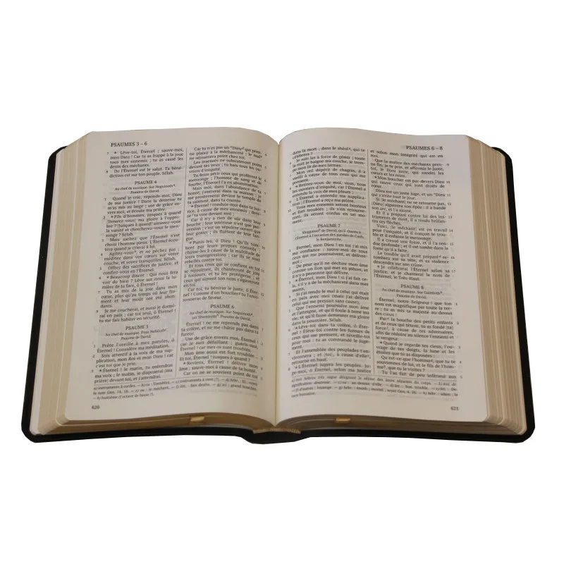 Bible Darby édition de Rolle, format moyen, cuir noir sans rebord, souple, tranche dorée
