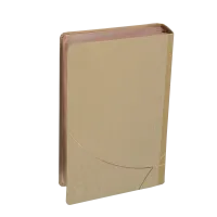 Bible d'étude Vie nouvelle, Segond 21 - Couverture souple, toile beige, tranches or rose
