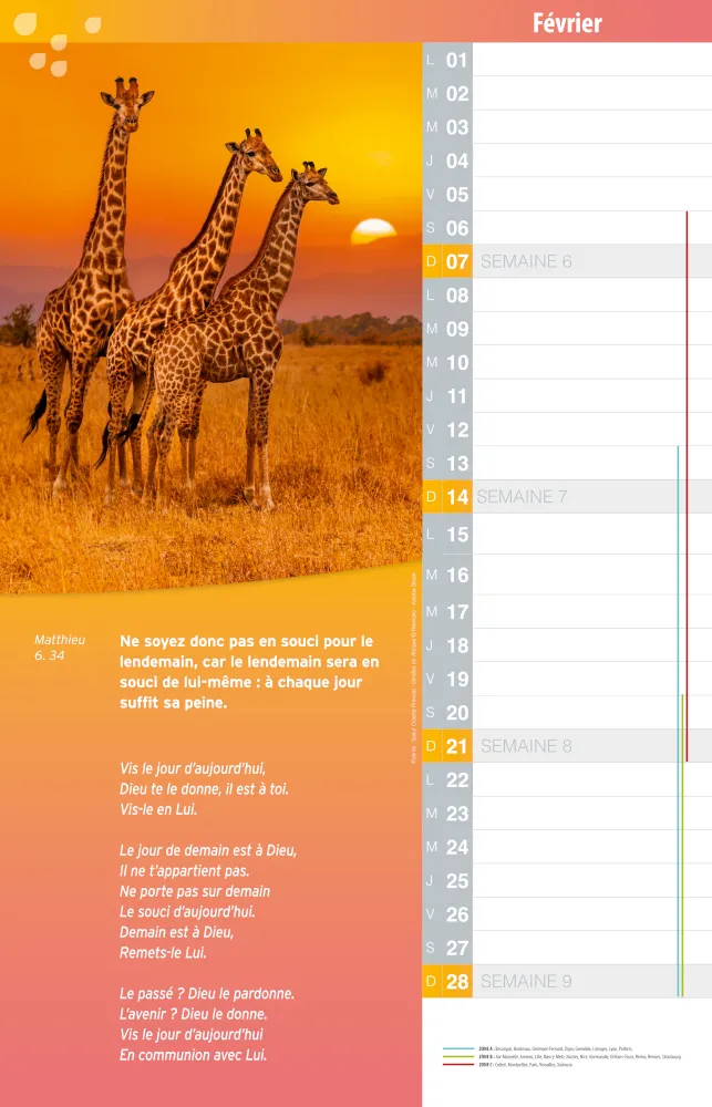 Bonne Semence calendrier (La) - Mensuel-mémo