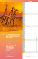 Bonne Semence calendrier (La) - Mensuel-mémo