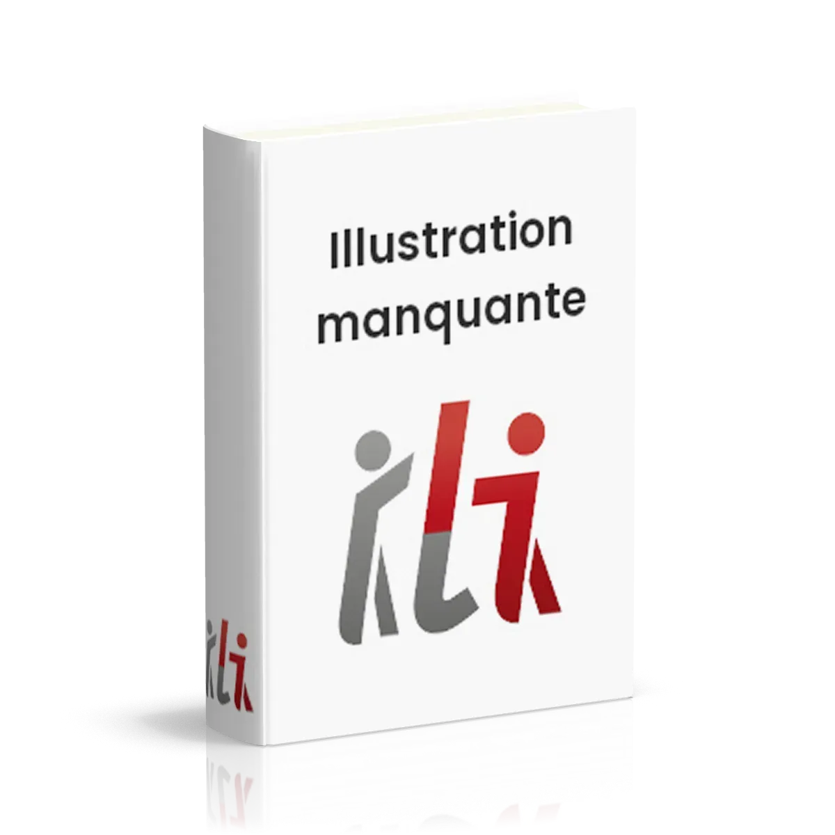 Carnet de route des fiancés