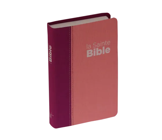 Bible Segond NEG compacte - couverture souple, toile duo rose praline / violet fruits des bois en...