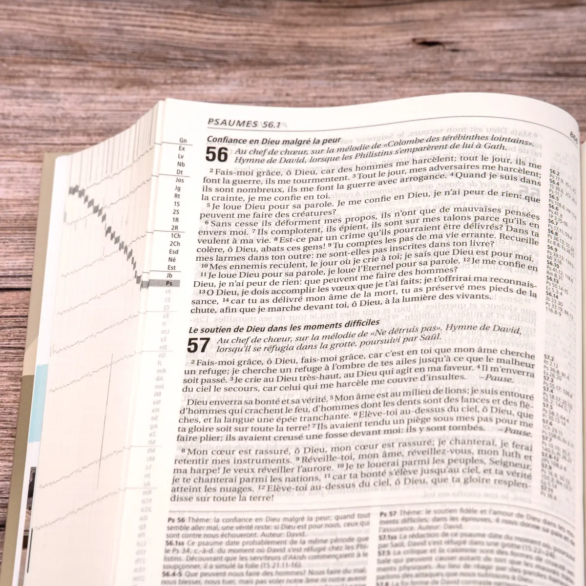 Bible d'étude Vie nouvelle, Segond 21 - couverture rigide illustrée