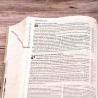 Bible d'étude Vie nouvelle, Segond 21 - couverture rigide illustrée