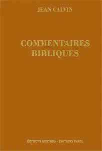 Hébreux - Commentaires bibliques, t.8.1