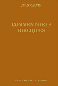 Jean - Commentaires bibliques, t.2