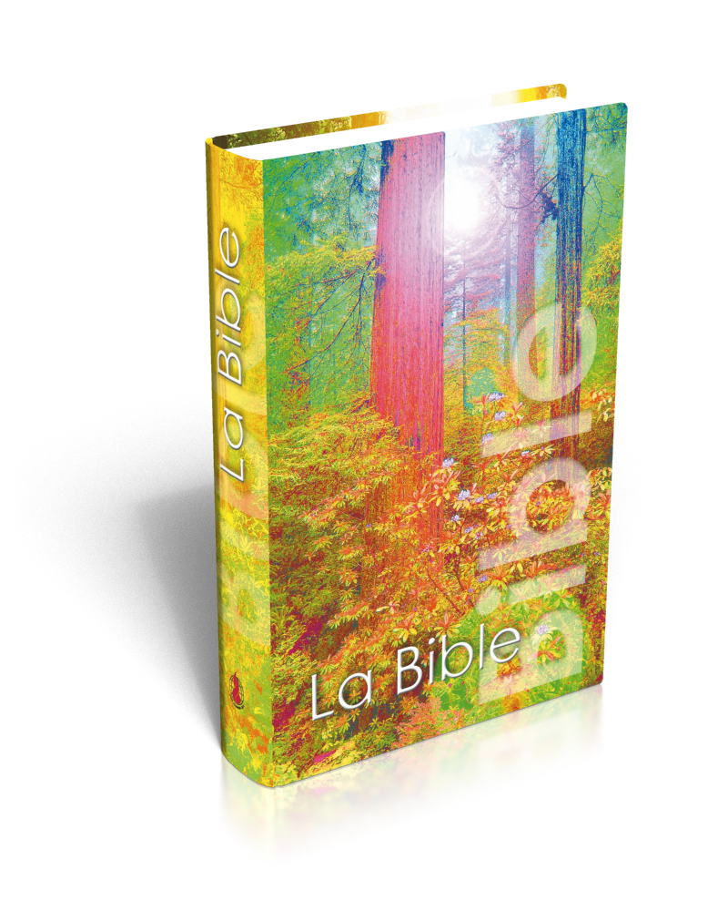 Bible Segond NEG, de poche, illustrée forêt - couverture rigide