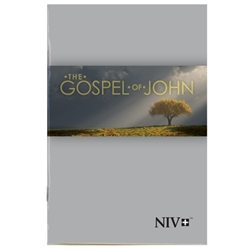ANGLAIS, JOHN'S GOSPEL NIV (ÉVANGILE DE JEAN), NEW INTERNATIONAL VERSION