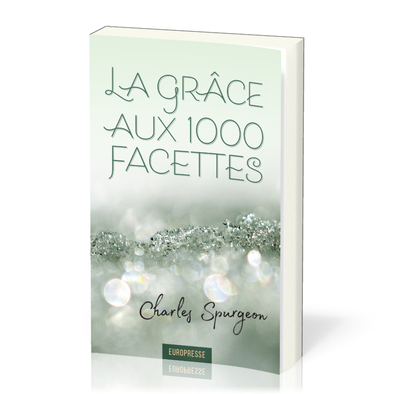 Grâce aux 1000 facettes (La)