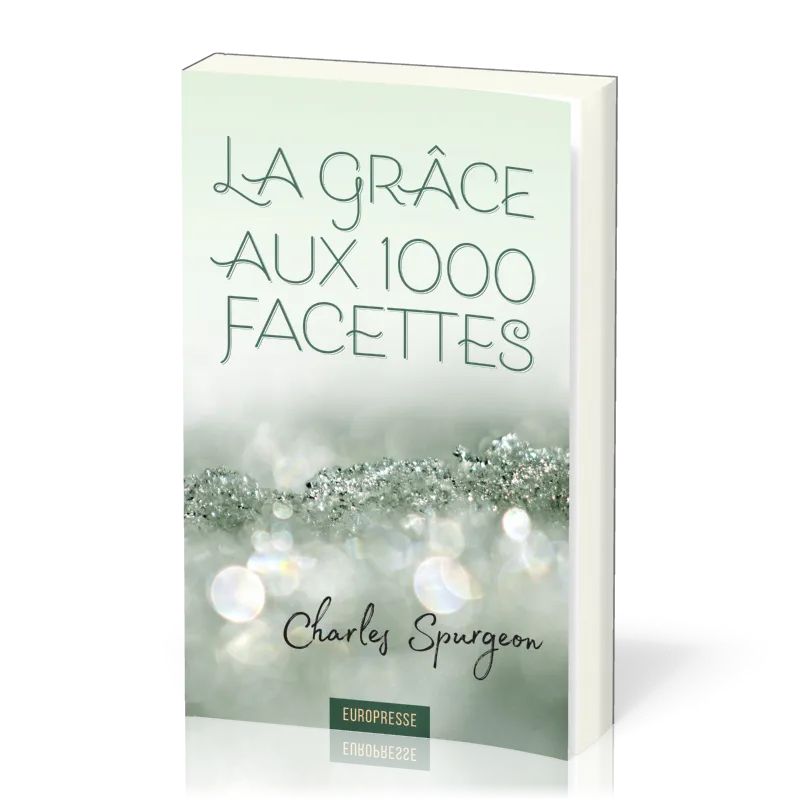 Grâce aux 1000 facettes (La)