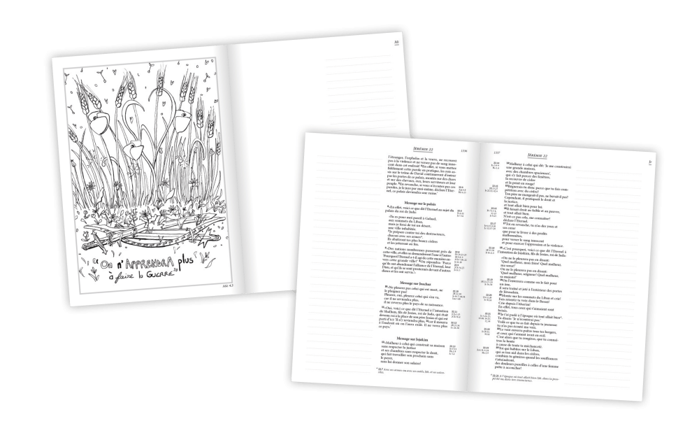 Bible Segond 21 Journal de bord - couverture rigide illustrée verte