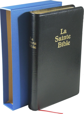 Bible Darby, petit format, noire - couverture souple, skyvertex, tranche or, avec boîtier