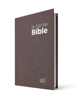Bible Segond NEG, compacte - couverture rigide brune chocolat